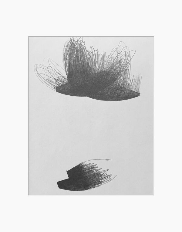 Sublimations